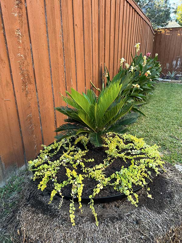 new flower pot in backyard