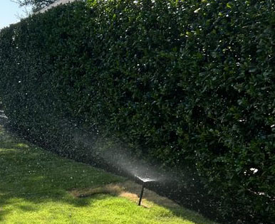 a sprinkler