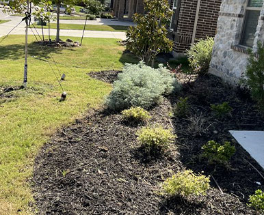 landscaping