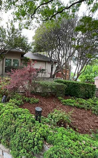 a backyard showing landscaping