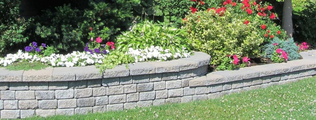 A stone retaining wall holding gorgeous flowers.