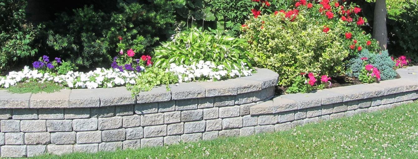 A stone retaining wall holding gorgeous flowers. 