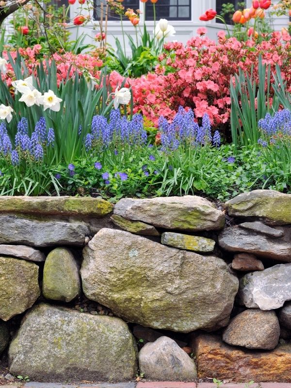 A gorgeous stone retaining wall with vibrant flowers. 